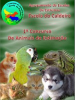/album/diversos/image001-jpg1/