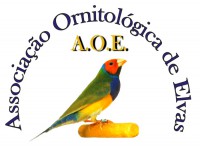 /album/civis1/aoe-jpg/